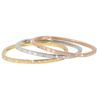 Pierre Cardin Jewellery Set Bracelet PXB21077XXX