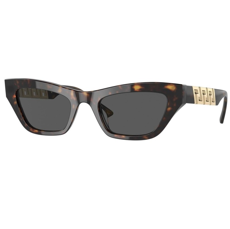 VERSACE SUNGLASSES VE4419 108/87