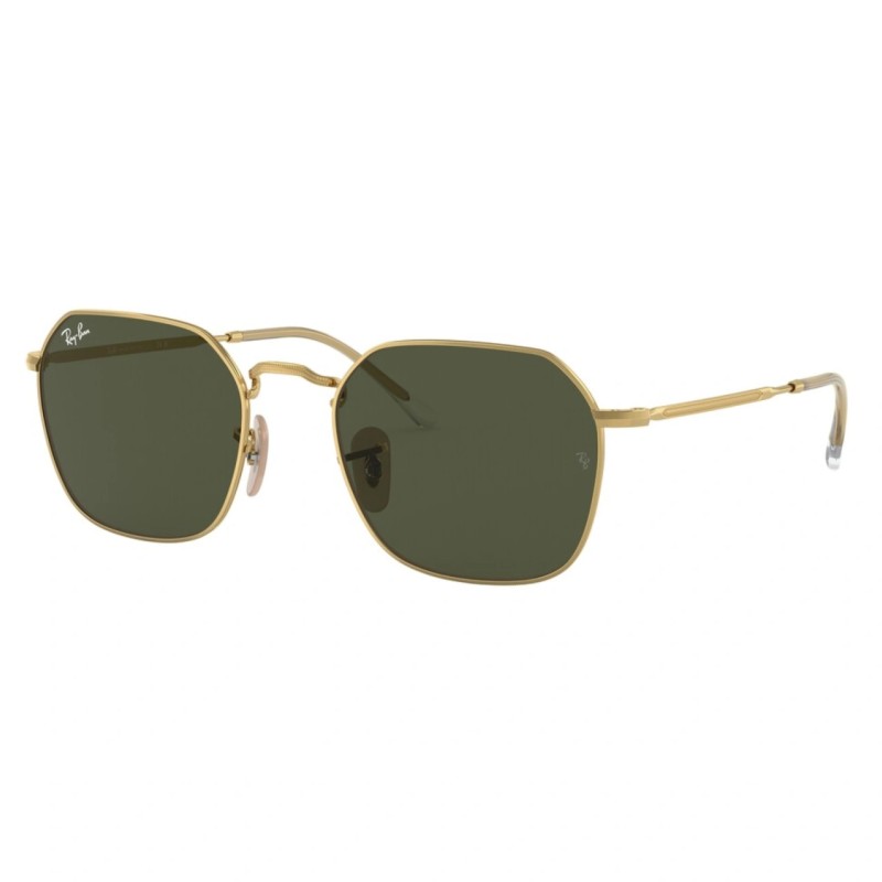 RAY-BAN  SUNGLASSES RB3694 001/31